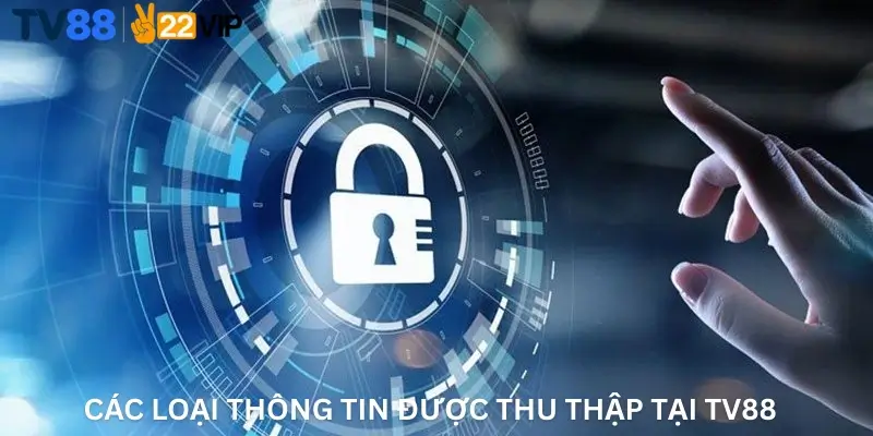 Các loại thông tin được thu thập tại TV88