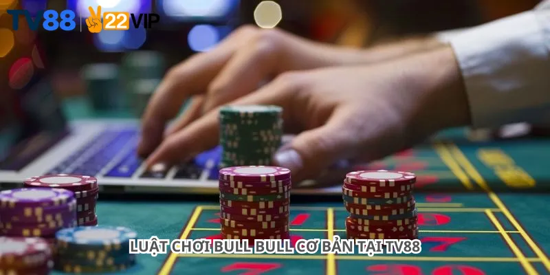 Luật chơi Bull Bull cơ bản tại Tv88