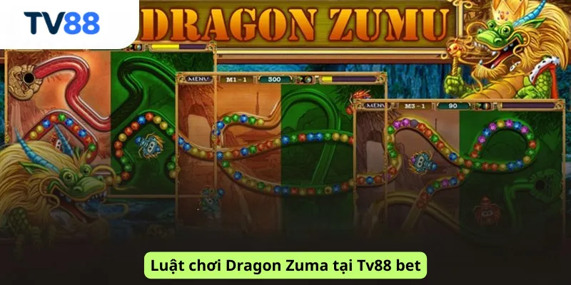 Luật chơi Dragon Zuma tại Tv88 bet